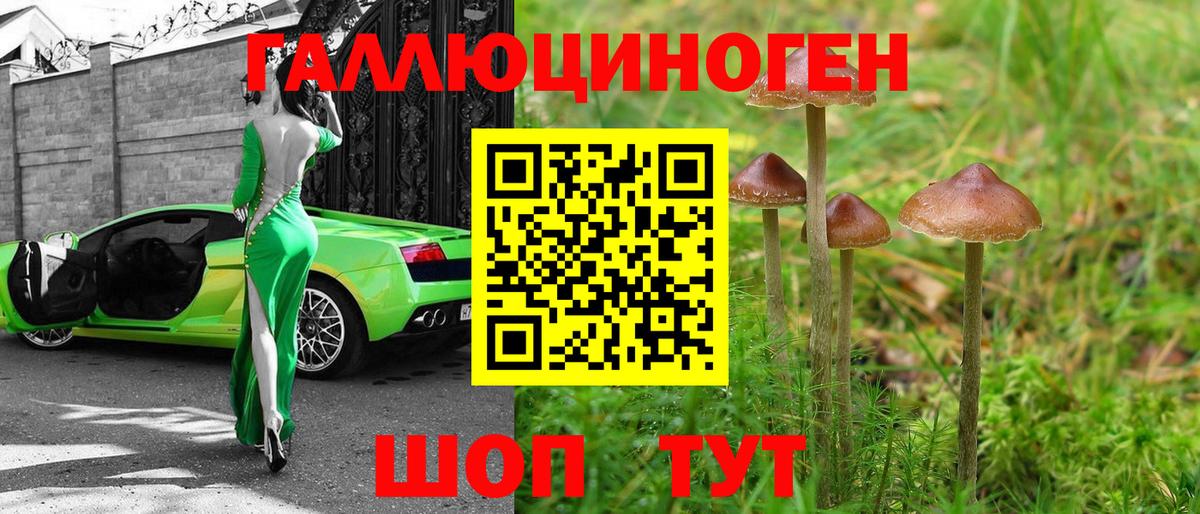 Галлюциногенные грибы GOLDEN TEACHER  что такое наркотик  Борисоглебск  Вход с VPN  Галлюциногенные грибы MAGIC MUSHROOMS 